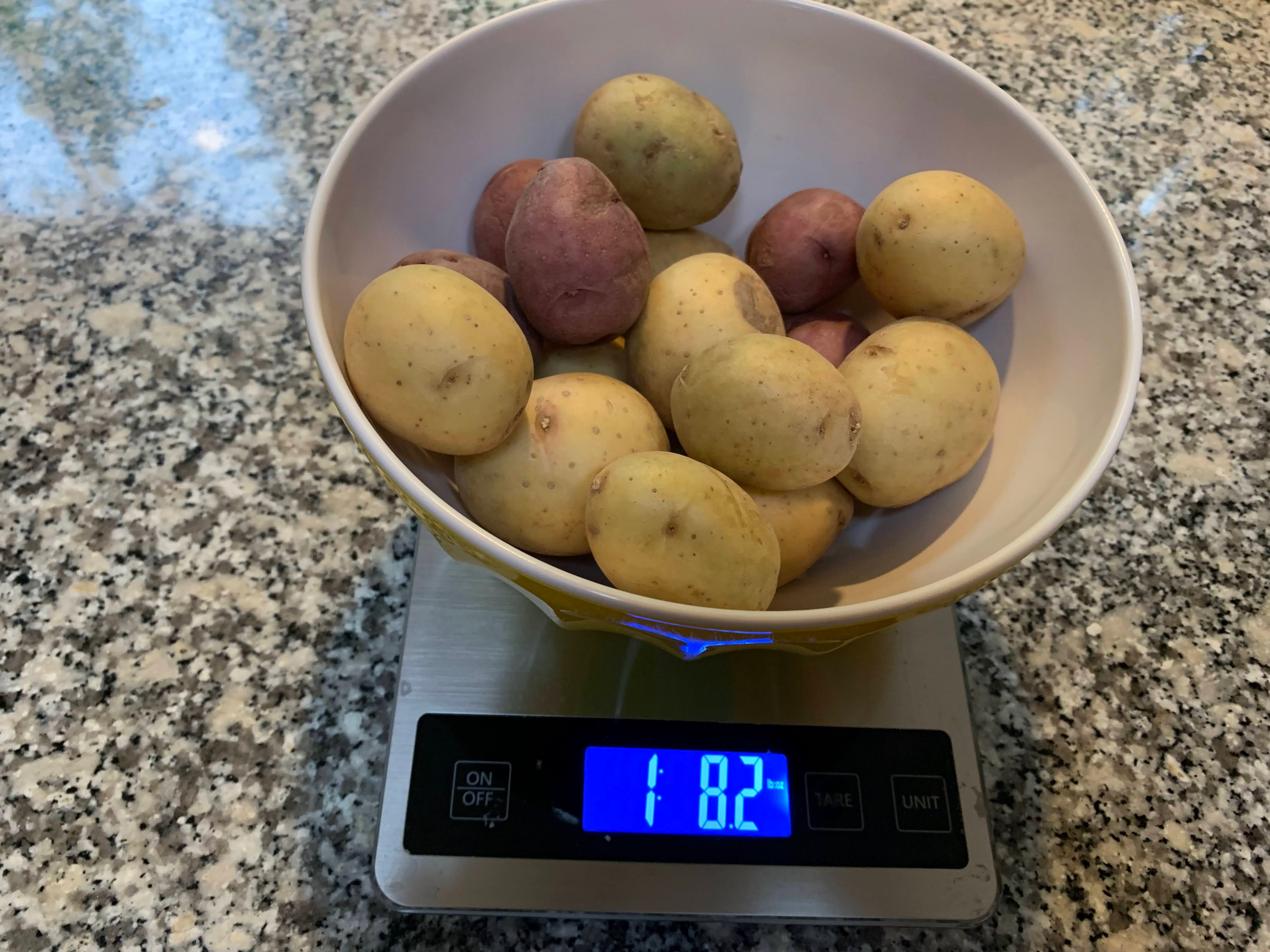 Potato Cod Scale Catching Up – Explorer Barb